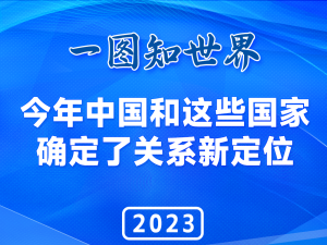 今年中国和这些国家确定了关系新定位